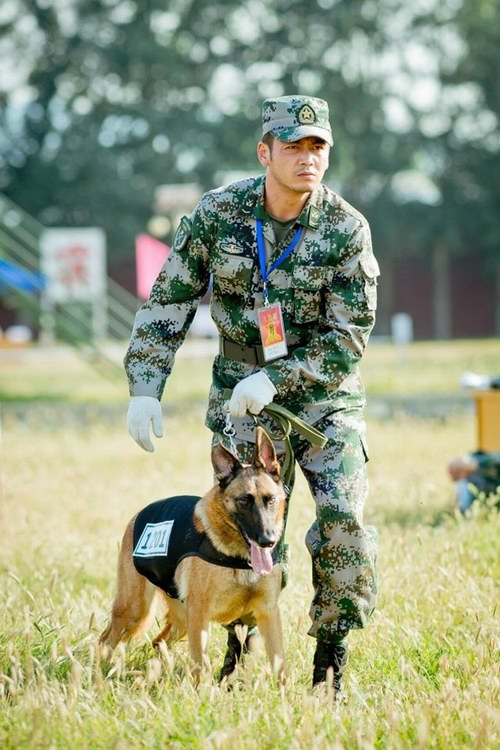 电视剧《神犬奇兵》全集剧照-风尚娱乐http://news.fengsung.com/yule/