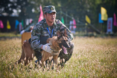 电视剧《神犬奇兵》全集剧照-风尚娱乐http://news.fengsung.com/yule/