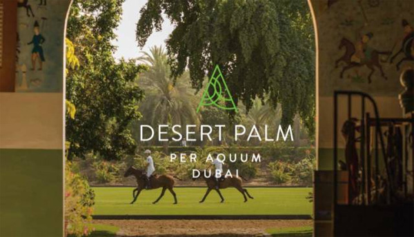 从Desert Palm和Armani酒店看到不一样的迪拜