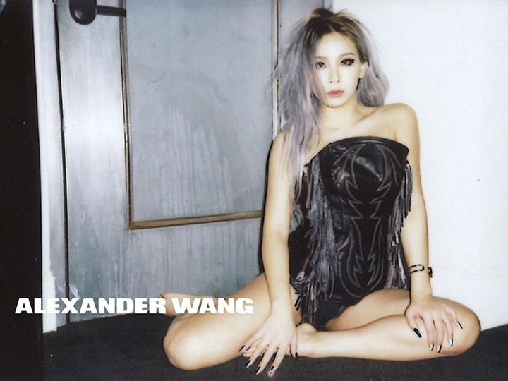 Alexander Wang 2016春夏系列广告大片