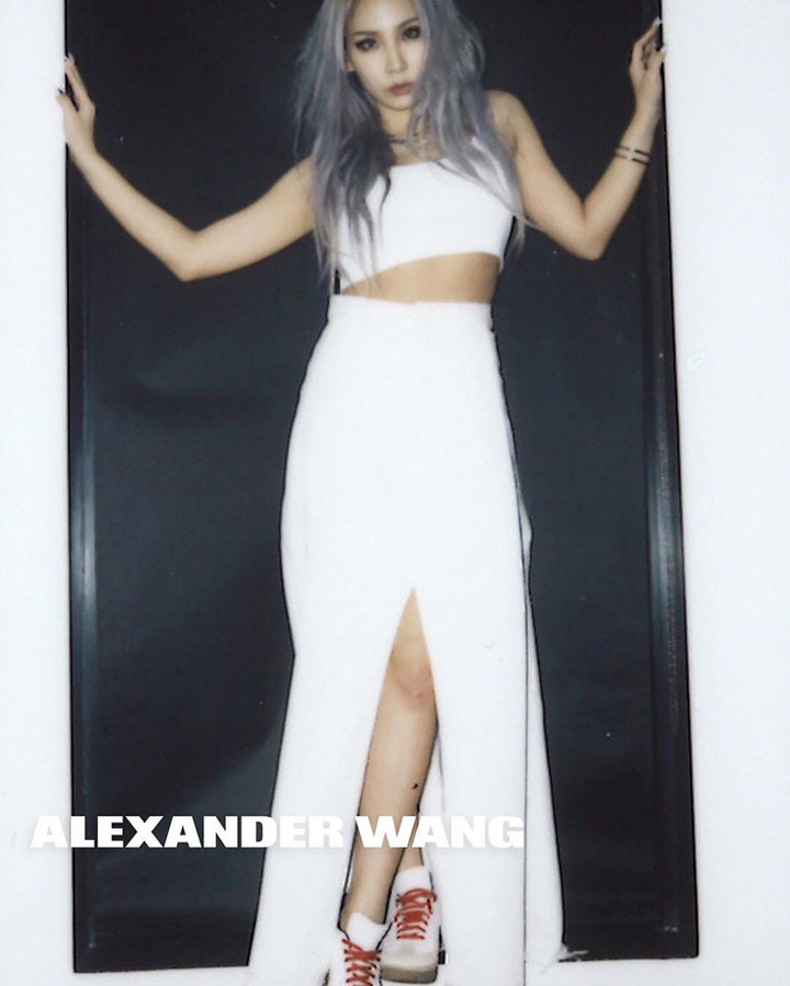 Alexander Wang 2016春夏系列广告大片