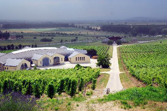 彭博社：未来哪些葡萄酒产区最“得意”？ 