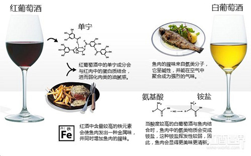 “红酒配牛排”的真实原因，一张图就够用了！