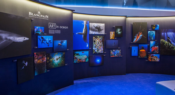 Blancpain 宝珀隆重呈现“心系海洋”专题展