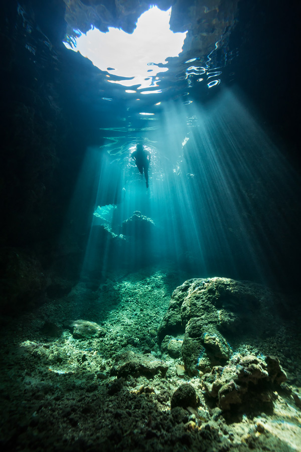 斐济十大必潜圣地 徜徉鲨鱼与珊瑚摇曳的斑斓世界