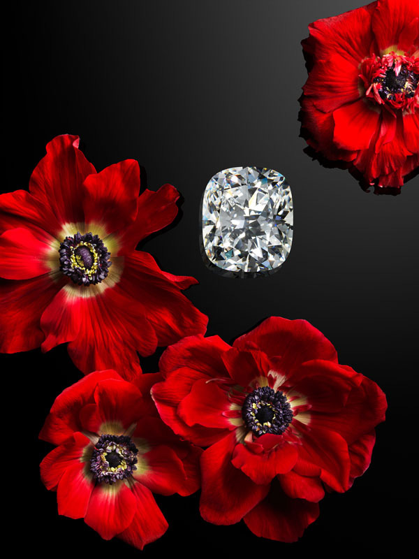 喀拉哈里女王之钻的奇幻之旅