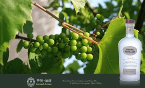 法国茅台——费朗·巅峰（PF Grand Arome）68度干邑原酒