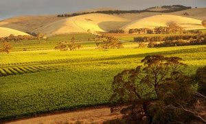 自驾葡萄酒之路——奔赴南澳寻美味好酒