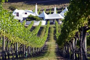 世界上最好的葡萄酒自驾道路——新西兰经典葡萄酒之路