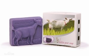 手工皂比利山羊: 比利山羊奶皂制作背景及制作过程