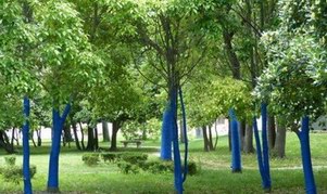 GP芝柏“Blue Forest”环保的艺术