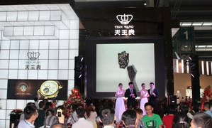 天王表2013深圳钟表展演绎25年时光传奇 