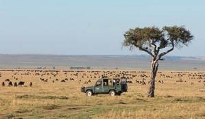 东非草原SAFARI：体验奢华与野性