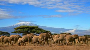 《国家地理》推荐2013非洲最佳旅游路线