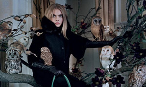 Cara Delevingne 代言Mulberry（玛百莉）2013秋冬系列广告大片曝光