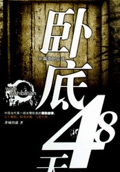 电视剧《卧底48天》全集剧情介绍_1-25集，大结局