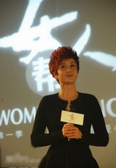 电视剧《女人帮》剧情介绍、演员表