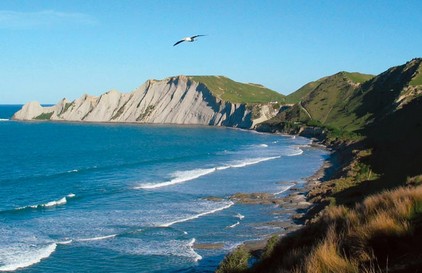 新西兰 The Farm at Cape Kidnappers 绑匪角农场