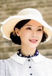 电视剧《一代枭雄》精彩剧情介绍、全集主演介绍