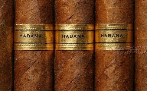 老派绅士之选：哈瓦那雪茄