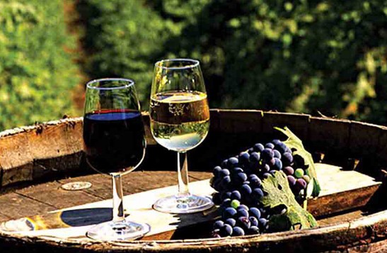 法国研究发现90%的葡萄酒含化学物质残留