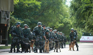 《神犬奇兵》剧情介绍(1~2集)_神犬奇兵电视剧全集大结局