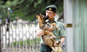 《神犬奇兵》剧情_分集介绍(3~4集)_神犬奇兵电视剧全集剧情演员表