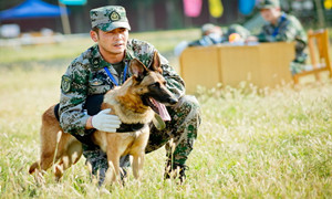 《神犬奇兵》剧情_分集介绍(7~8集)_神犬奇兵电视剧全集演员表