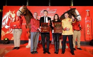 百威克莱兹代尔马首登中国长城庆新年