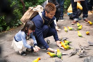 真人秀电影《爸爸去哪儿》屡破纪录 田亮成勇闯蛇洞第一人