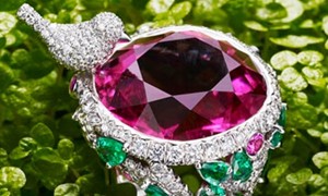 Piaget(伯爵)品牌故事