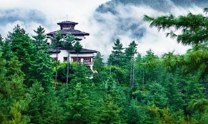 幽居大牌酒店 探秘早春山野