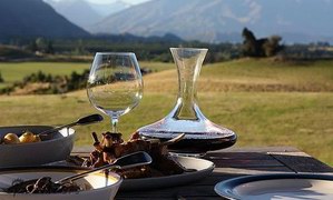 新西兰美酒黑皮诺使人生变得如玫瑰般地绚丽
