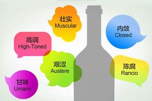  葡萄酒品鉴中的10大秘语