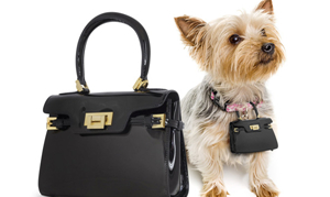「PawBags」全球抢先发售 购入您和爱犬同款时尚包袋