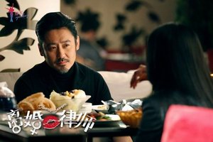 电视剧《离婚律师》精彩剧情介绍、演员表