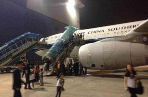 南航乘客回忆航班遭鸟击：APEC调休南下度假离奇遭遇