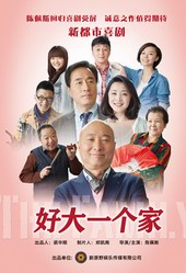 陈佩斯刘蓓《好大一个家》分集剧情介绍_(第1-38全集,大结局)