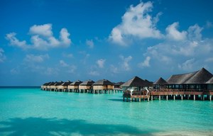 马尔代夫太阳Siyam伊露岛度假村延长「百合」与「玫瑰」度假套餐