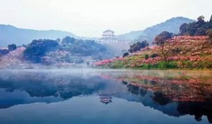 樱花之外 千万别错过浪漫桃花雨