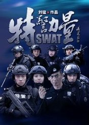 任天野《特警力量》27-28集 电视剧1-56集分集剧情介绍演员表