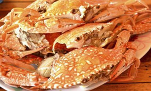 秋季怎么吃螃蟹养颜不伤胃？