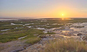 极旅行推出9天8晚坦桑尼亚游猎之旅