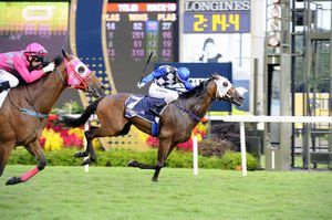 Cooptado Wins Longines Singapore Gold Cup