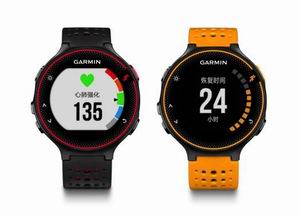 运动心率实力派 Garmin Forerunner 235领跑健康新风尚