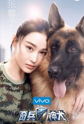 《奇兵神犬》“明星训犬队”正式开启   张馨予杨烁沙溢张大大姜潮加盟 