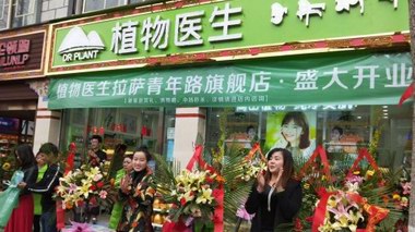 植物医生怎么样：东西南北中五店齐开业，百花齐放喜迎春日