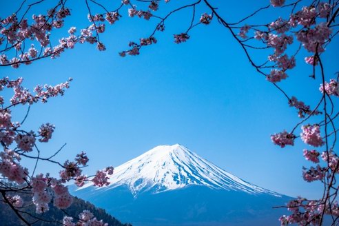 您好！成田机场给您发来一条关于日本的链接，请注意查收