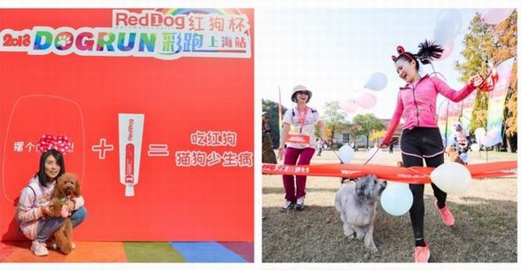 中国大型人宠彩跑赛，红狗杯2018DOGRUN嗨翻魔都