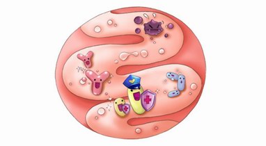 妈咪爱有效应对肠道不适，守护宝宝“肠”治久安